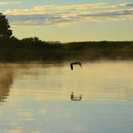 Domek Nad Odra Gryfino Dış mekan fotoğraf