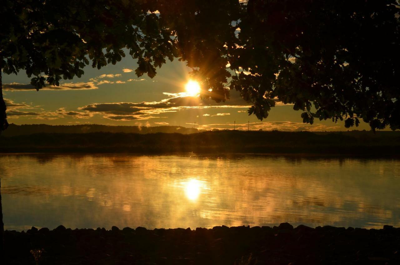 Domek Nad Odra Gryfino Dış mekan fotoğraf